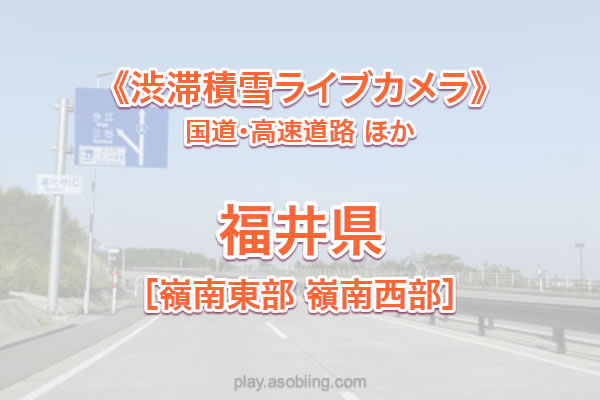 ライブ 敦賀 カメラ 市